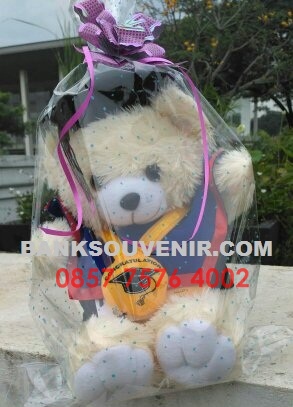 souvenir boneka wisuda
