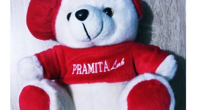 Produsen Souvenir Boneka Terlengkap Paling Murah