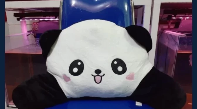 vendor souvenir
